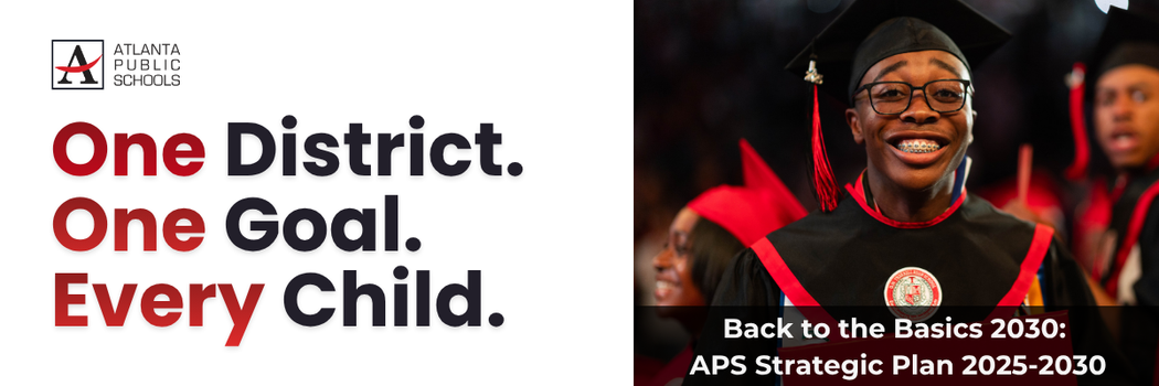 Back to the Basics 2030: APS Strategic Plan 2025-2030